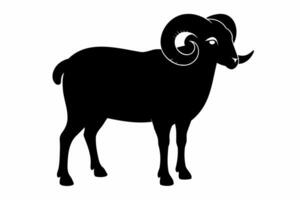 svart silhuett av en stående manlig Bagge med ringlad horn. får begrepp, djur- ikon, boskap design, lantbruk tema. svart silhuett isolerat på vit bakgrund. vektor