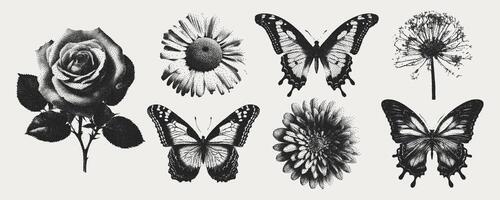 Blume, Rose, Schmetterling, Kamille Elemente im das retro Kopieren Stil. Elemente zum das y2k Design. das bewirken von Korn und gepunktet Linien. modern Illustration. vektor