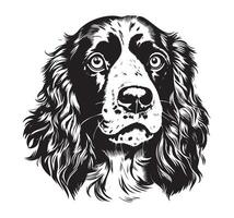 Hund Rasse Cocker Spaniel Schnauze, skizzieren Grafik schwarz und Weiß Zeichnung vektor