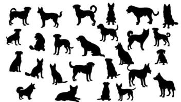 Silhouette Hund einstellen schwarz und Weiß. Illustration Haustier Sammlung Schnitt aus. Stehen Karikatur isoliert Weiß Hund. Säugetier Element Symbol Profil vektor