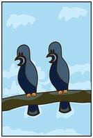 Tauben Sitzung auf ein Ast. Vogel Illustration im Karikatur Stil. süß und einzigartig Tier Design Elemente. Illustration von ein Paar von Krähen oder Tauben. vektor
