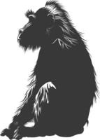 Silhouette Mandrill Tier schwarz Farbe nur vektor