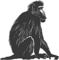 Silhouette Mandrill Tier schwarz Farbe nur vektor