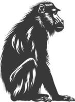 Silhouette Mandrill Tier schwarz Farbe nur vektor