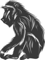 silhuett mandrill djur- svart Färg endast vektor