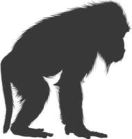 Silhouette Mandrill Tier schwarz Farbe nur vektor