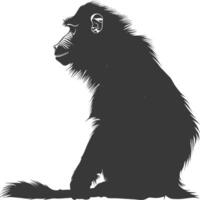 Silhouette Mandrill Tier schwarz Farbe nur vektor