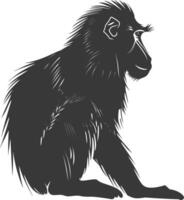 silhuett mandrill djur- svart Färg endast vektor