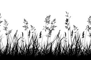 Silhouette von hoch Gräser und Wildblumen vektor