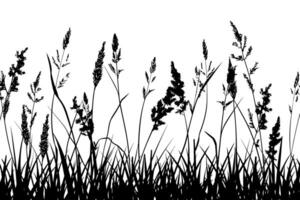 Silhouette von hoch Gräser und Wildblumen vektor