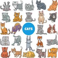 tecknad serie katter och kattungar djur- tecken stor uppsättning vektor