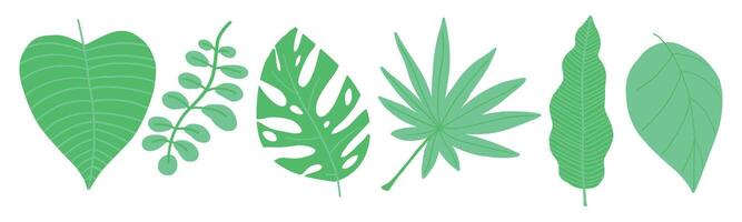 bunt tropisch Blätter Illustration mit verschiedene Grün Laub und beschwingt botanisch Elemente. vektor