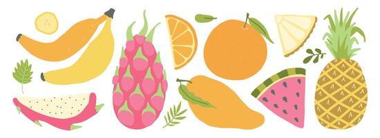 färgrik tropisk frukt illustration med banan, ananas, mango, dragonfrukt, orange, och vattenmelon. vektor