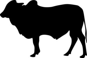 Kuh Kunst, Kuh Silhouette Bild geeignet zum Logos oder Qurban Gutscheine, eid adha eid hajj Kühe vektor
