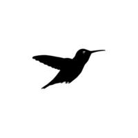 fliegend Kolibri Silhouette, können verwenden Kunst Illustration, Webseite, Logo Gramm, Piktogramm oder Grafik Design Element vektor