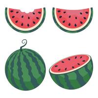 vattenmelon uppsättning, hela vattenmelon, skiva, halv vattenmelon, ritad för hand, platt illustration vektor