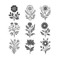 eben Design Blume Silhouetten und Blätter Blumen- Element Design Vorlage Illustration vektor