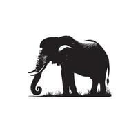 elefant silhuett isolerat på vit bakgrund. elefant logotyp. vektor