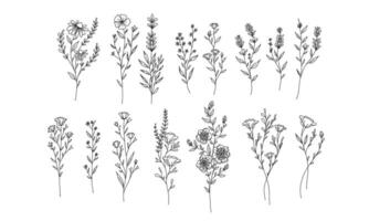 Set von handgezeichneten floralen Elementen für Ihr Design, Blatt- und Blumenillustration, um romantisches oder Vintage-Design zu erstellen, pflanzenisolierte Grafik sehr einfach zu Ihrem Designprojekt hinzuzufügen vektor