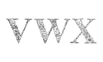 Blumenillustrations-Alphabet v, w, x, Vektorgrafik-Schriftart von Blumen- und Blattpflanzen kreative handgezeichnete Strichzeichnungen für abstrakte und natürliche Naturstil-Looks in einzigartiger monochromer Designdekoration vektor