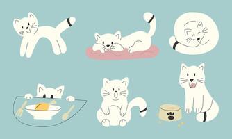 vit katt. söt sällskapsdjur i annorlunda poserar. rolig kattunge karaktär äter, liggande på kudde, sovande, spelar. sällskapsdjur djur- samling isolerat på blå bakgrund. platt tecknad serie illustration. vektor