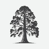 drucken majestätisch Silhouette von das Mammutbaum Baum, ein zeitlos Symbol von der Natur Größe vektor