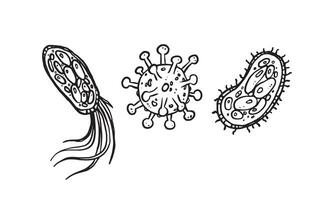 einfacher Satz von 3 Viren handgezeichneten Vektoren. Hand gezeichnete Linie Kunstkarikaturillustration. isoliertes Symbol auf weißem Hintergrund vektor