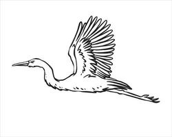 einfacher fliegender Storch handgezeichneter Vektor. Hand gezeichnete Linie Kunstkarikaturillustration. isoliert auf weißem Hintergrund vektor