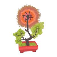 bonsai träd. illustration av en bonsai träd. tecknad serie av en bonsai solros träd. design element av natur illustration i tecknad serie stil vektor