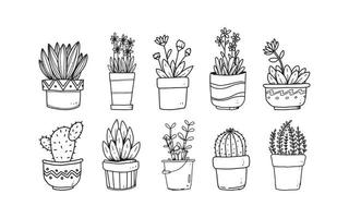 Set von handgezeichneten Blumen in Töpfen Illustration, Pflanzen isolierte Grafikelemente für Ihr Design, Blatt- und Blumenillustration, um romantisches oder Vintage-Design zu schaffen vektor