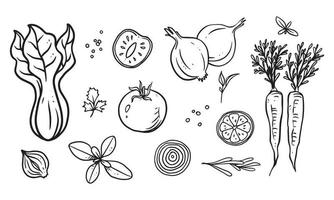 uppsättning grönsaker, frukt och kryddor handritad vektorillustration. hälsosam mat ritad med streckkonst för materialdesign vektor