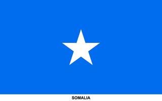 Flagge von Somalia, Somalia National Flagge vektor