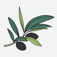 Gekritzel-Freihand-Skizze-Zeichnung von Olivenfrüchten. vektor