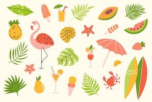 handgemalt Sommer- Satz. Palme Blätter, Früchte, Flamingo, Eis Creme, Cocktails, Seestern, Surfbrett. vektor