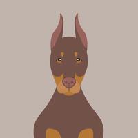 Dobermann Pinscher Hund Illustration. reinrassig Karikatur braun Hund im eben Stil vektor