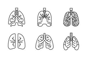 mänsklig organ anatomi lunga ikoner för medicinsk och pedagogisk symbol vektor