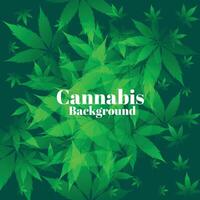 Grün Cannabis Blätter im Bündel Hintergrund Design vektor