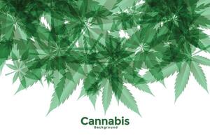 grön cannabis eller marijuana löv bakgrund design vektor