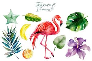 Aquarell Flamingo. exotisch Blumen. Palme Blätter. Hand gezeichnet tropisch Satz. Sommer Clip Art. vektor