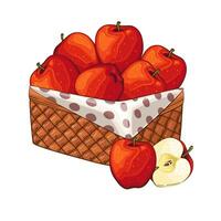 röd äpplen korg. korg av frukt illustration. organisk design begrepp. hand dragen frukt samling. korg med frukter. bruka Produkter. vektor