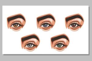 bunt Damen Augen mit bilden. Auge bilden Nahansicht isoliert. Schönheit Salon Sozial Medien Design. Schönheit Salon Banner. handgemalt Illustration weiblich Augen Satz. vektor