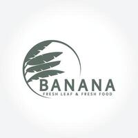 banan blad logotyp, tropisk frukt växt platt silhuett mall illustration design. vektor