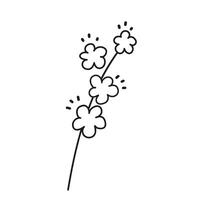 Senf Pflanze Ast abstrakt Zeichnung. Hand gezeichnet botanisch minimalistisch Raps Blume skizzieren Illustration auf isoliert Hintergrund. Design zum würzen Essen, Kräuter- Würze Zutat, Öl vektor