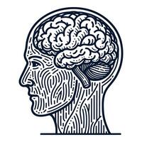 Mensch Kopf und Gehirn Zeichnung Linie vektor