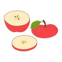 röd saftig äpple hand dragen uppsättning. hela, halv, skiva av färsk röd äpple frukt. samling av hela äpplen och skivad äpplen. trendig platt stil isolerat på vit illustration vektor