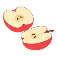 röd äpple skära i halv. två bit av röd frukt med frön. äpple halv ikon. isolerat på vit. hand dragen trendig platt stil. friska vegetarian mellanmål, skära äpple för design illustration vektor