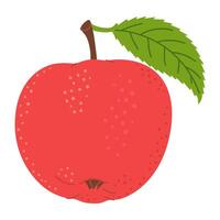 rot saftig reif Apfel mit Grün Blatt. Hand gezeichnet rot Apfel modisch eben Stil isoliert auf Weiß. Apfel Ernte. gesund Vegetarier Snack, Schnitt Apfel zum Design, Infografik Illustration vektor