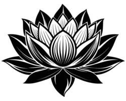 Lotusblume lokalisiert auf Weiß vektor