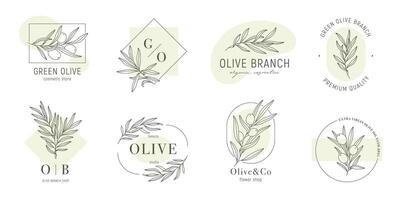 oliv märka mallar uppsättning med oliv grenar och Färg former i minimal linjär stil. löv och oliv frukter. grönska växter och enkel ramar vektor