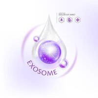 exosom serum hud vård kosmetisk, hud föryngring vektor